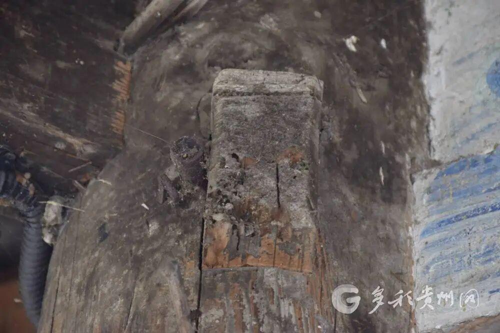 则里鼓楼内虽然长期烟熏，但上层木构件仍存在大量生物病害