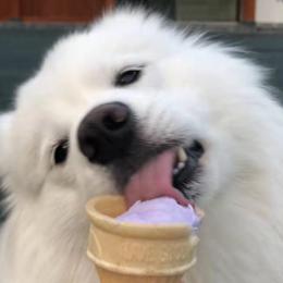 喜欢晴天