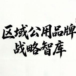 天锐灵动区域公用品牌战略智库