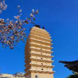 忘川信息