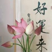 社会分享者