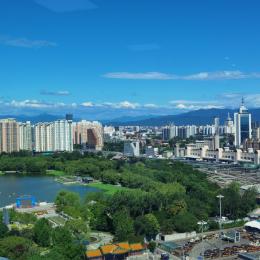 坤树战略咨询