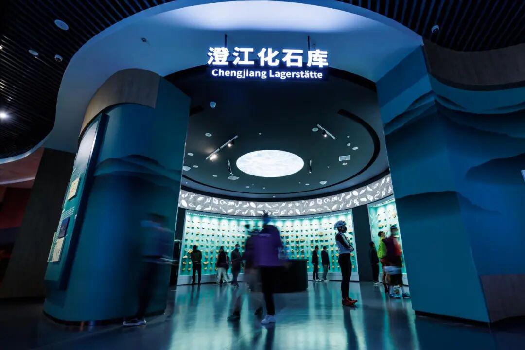 游客在澄江化石地自然博物馆参观 澄江化石地自然博物馆 供图
