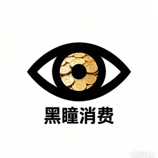 黑瞳消费