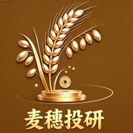麦穗投研