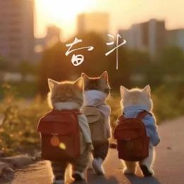 数智慧