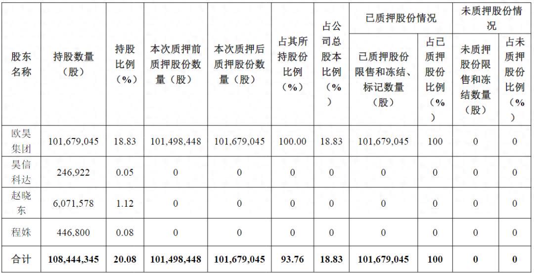 （控股股东及其一致行动人目前所持质押股份情况）