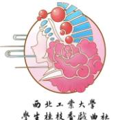 西北工业大学青践美育行实践团