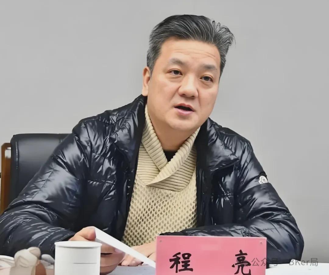 年薪83万、解聘次月被查的重庆国企副总，被指对抗审查、贪婪腐化