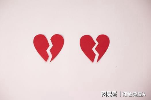 被撕碎的画纸