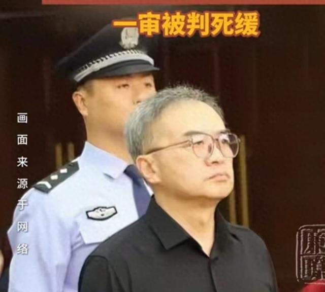 龙翔出庭受审神色镇定，全程面不改色，终究还是付出沉重代价