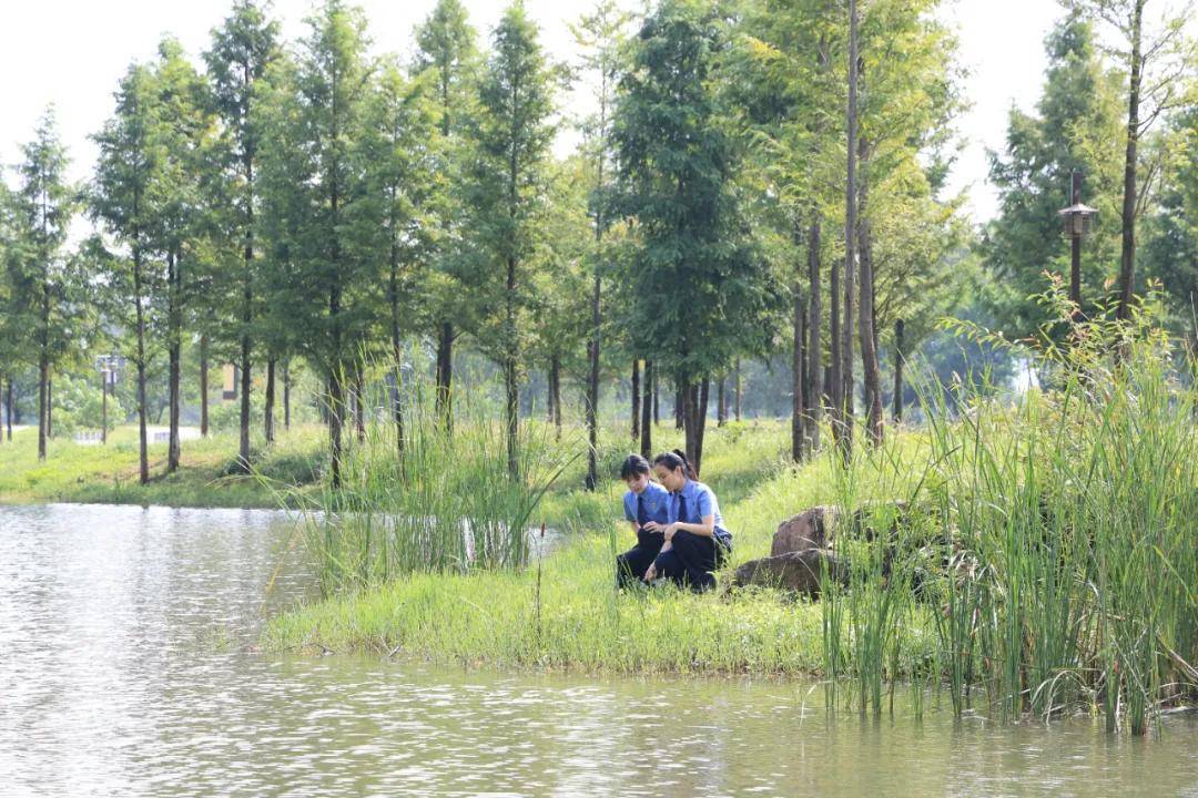 湿地水域出现油污漂浮，他们展开一场源头堵漏行动