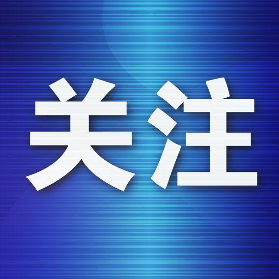 西岗区2026年秋季民生工程扩大优质教育资源供给