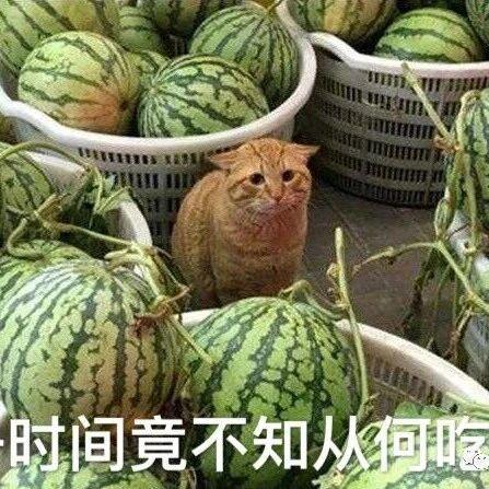 【单篇问答】之孙宇晨是谁？他为啥发长文撕景甜？
