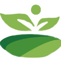 央视速评在线