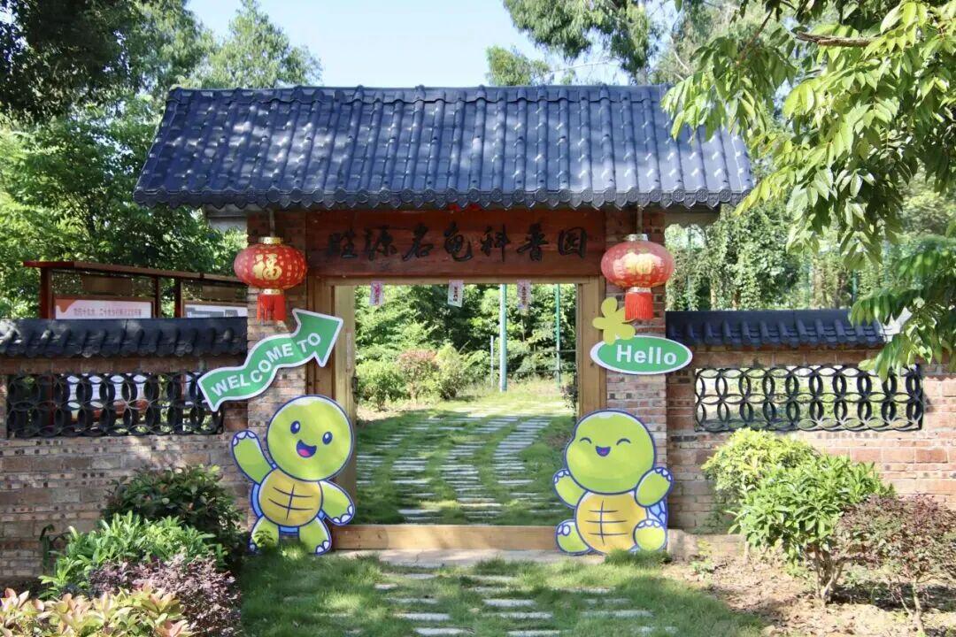 大陂胜源名龟科普基地。