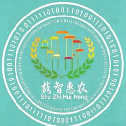 数智惠农实践小分队