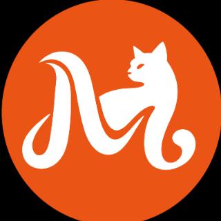 猫小圣