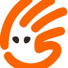 五网