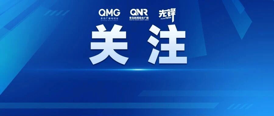 15只幼猫将被集中法拍“还债”，主人欠4万多元，单只小猫起拍价2100元