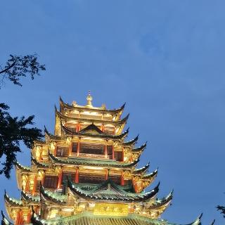 不见鱼