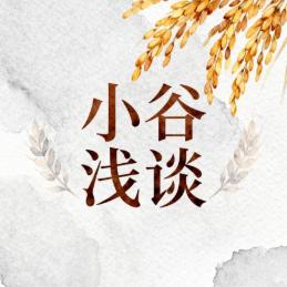 小谷浅聊