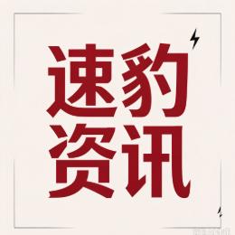 速豹资讯