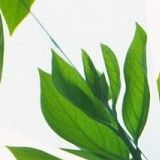 肖阳荣生活小分队