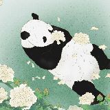 沙滩熊猫