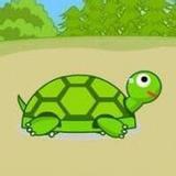 小乌龟快跑