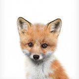 六千狐狸放映室