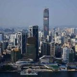 桂柳一号