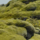 茜茜的旅行小记