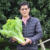 公主美之食