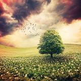 不折不扣的吃货