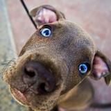 也许你并不懂娱乐呢