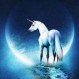 小小首席创新官