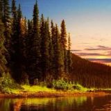 王者小农药魅狐