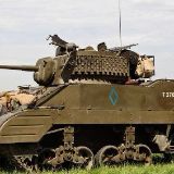 艳丽的军事生活