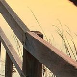 娟娟育儿小分队