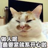 一叶生活号