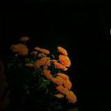 全新的生活体验