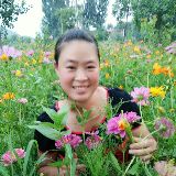 追梦玉儿代玉广场舞