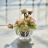 我是璐璐不是露露