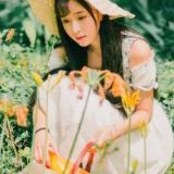 白丝妖娆