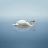 生活小妙招大全