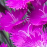 吕德娱乐小分队