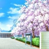 小草的伤感音乐