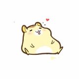 一只天马行空的仓鼠