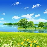 苹果梨的生活感想